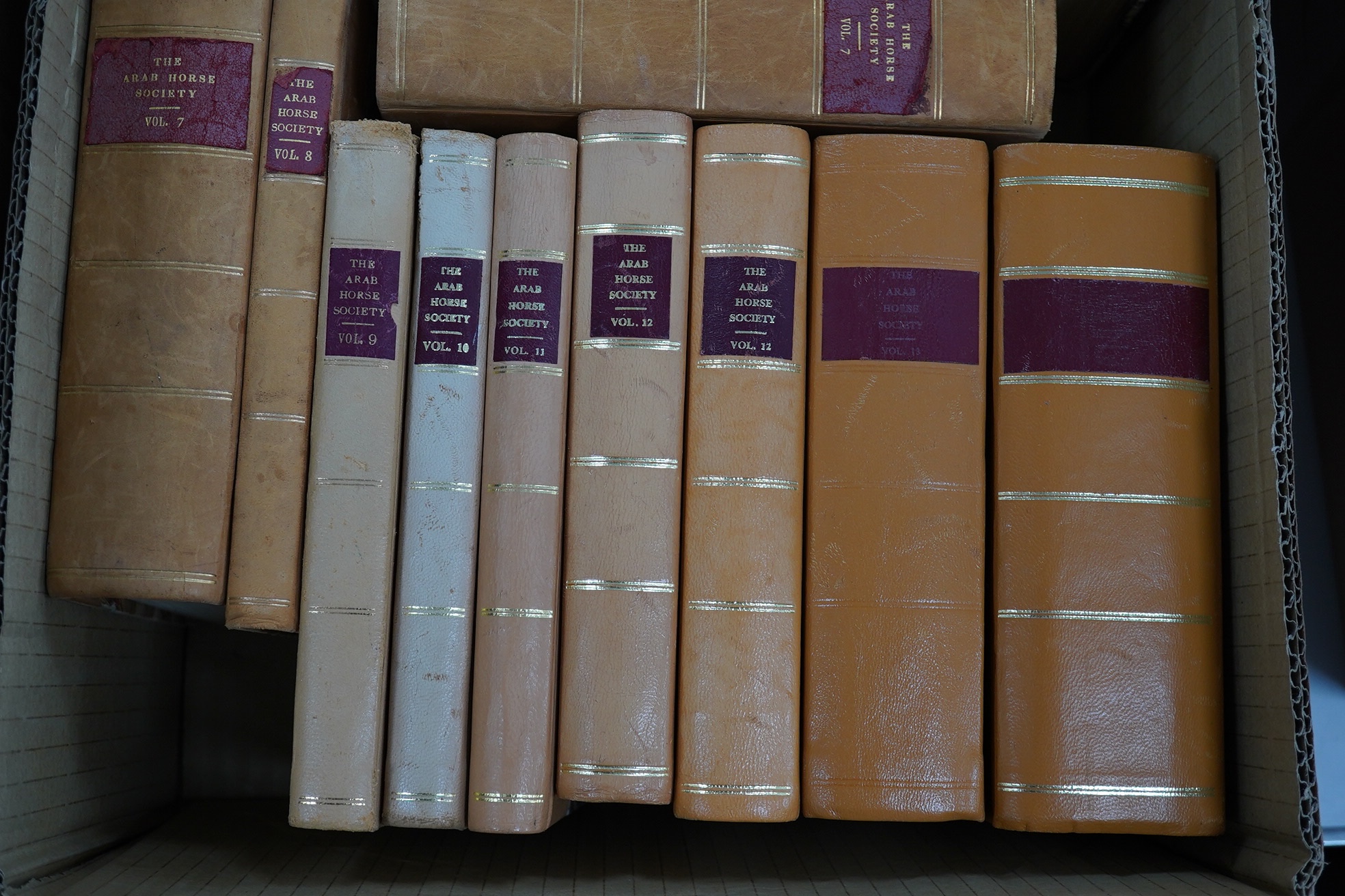 The Arab Horse Stud Book. first editions, vols. 1-14. photo. plates; original half calf marbled boards, gilt ruled spines with red labels, cr.8vo. Lewes, 1919-1982. *some earlier vols. with num. marginal ms. amendments (